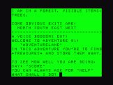 Screenshot of Adventureland