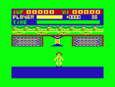 Screenshot of Kung Fu The Master