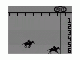 Screenshot of Photo Finish