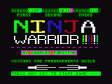 Screenshot of Ninja Warrior